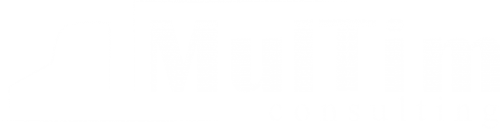МулТим Консалтинг 
